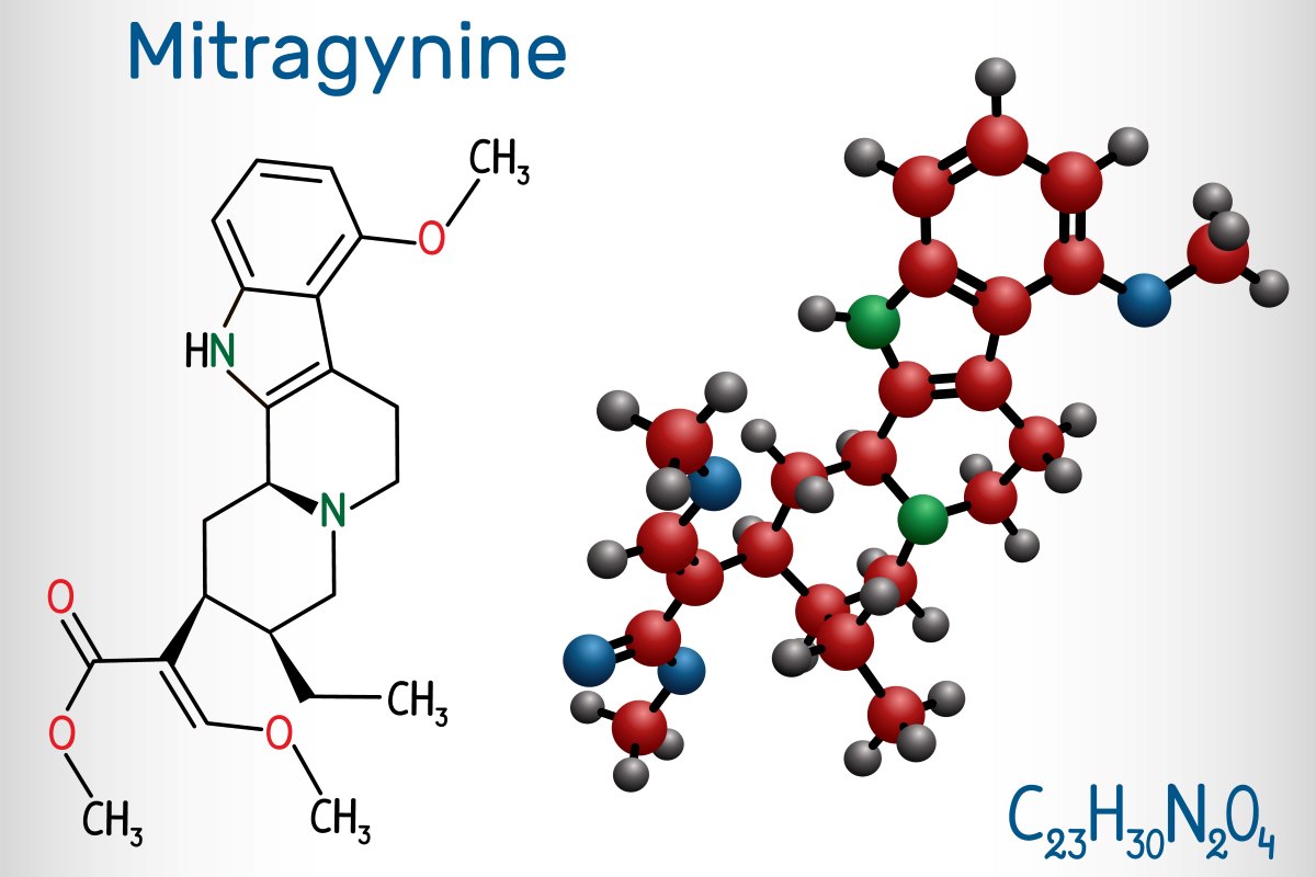 2D and 3D diagrams of the mitragynine molecule